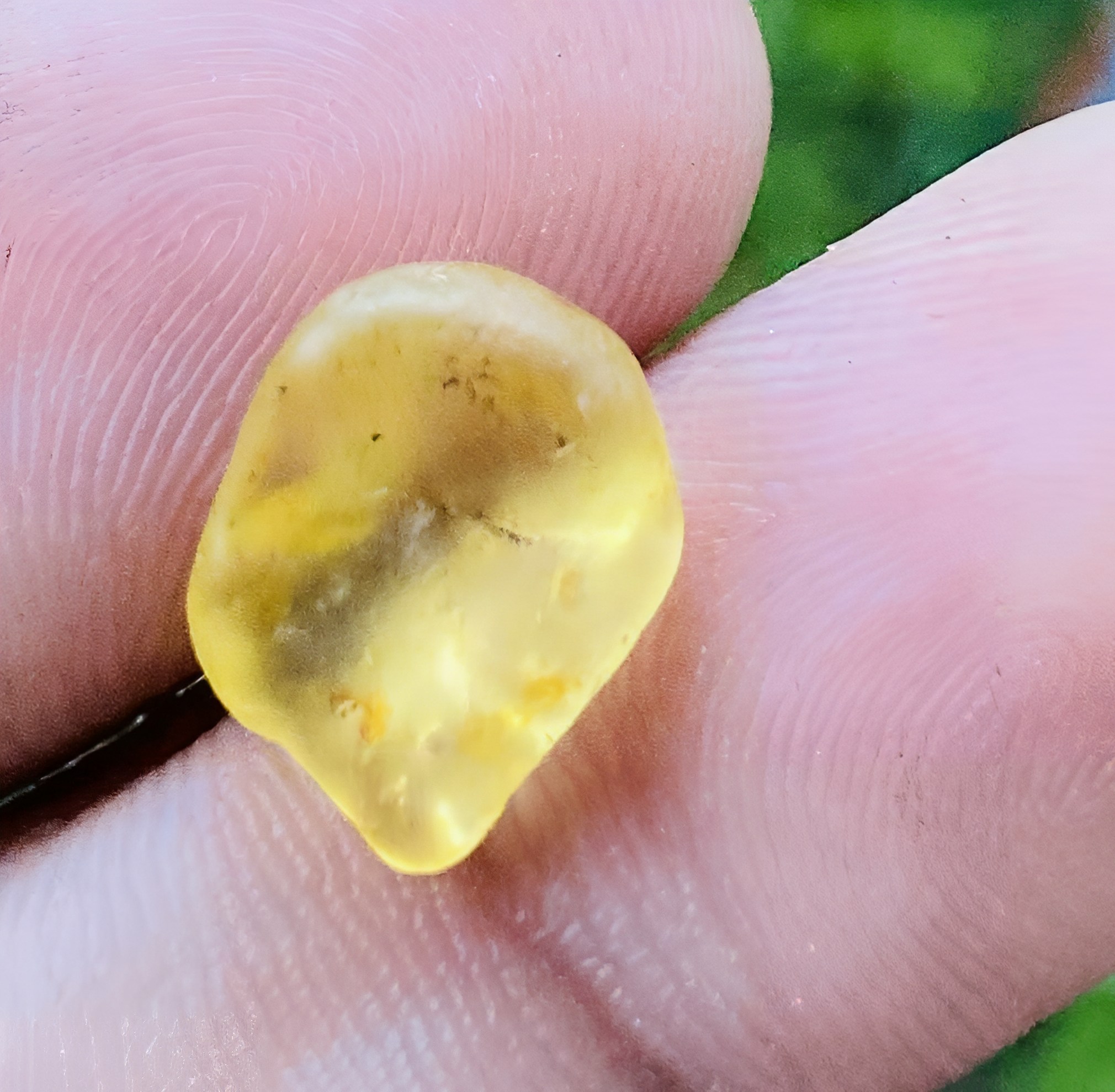 Natural Golden Yellow Sapphire