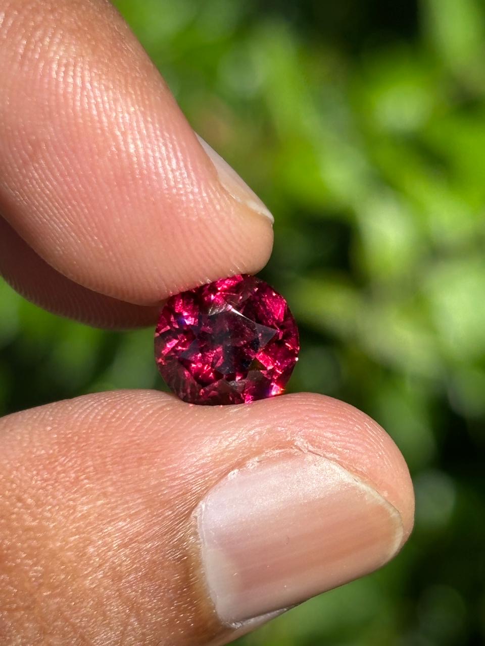 Rodulight Garnet