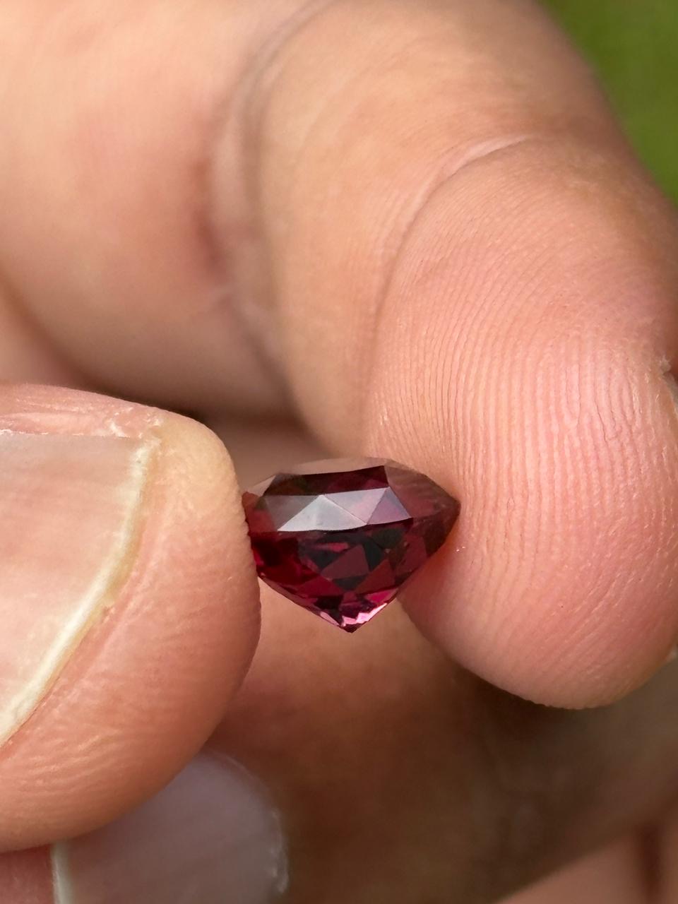 Rodulight Garnet - Image 2