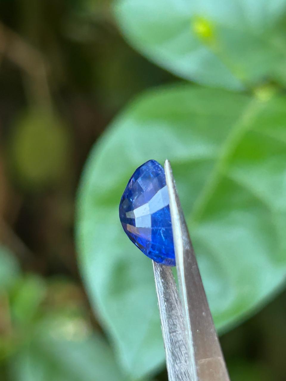 Royal Blue Sapphire ( 6.11 Crt ) - Image 2