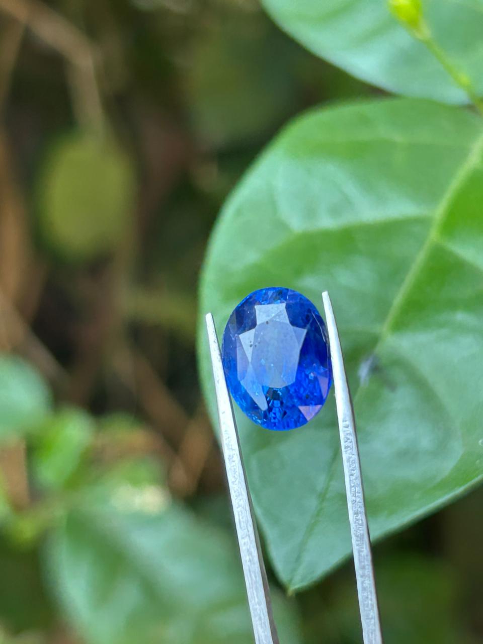 Royal Blue Sapphire ( 6.11 Crt ) - Image 3