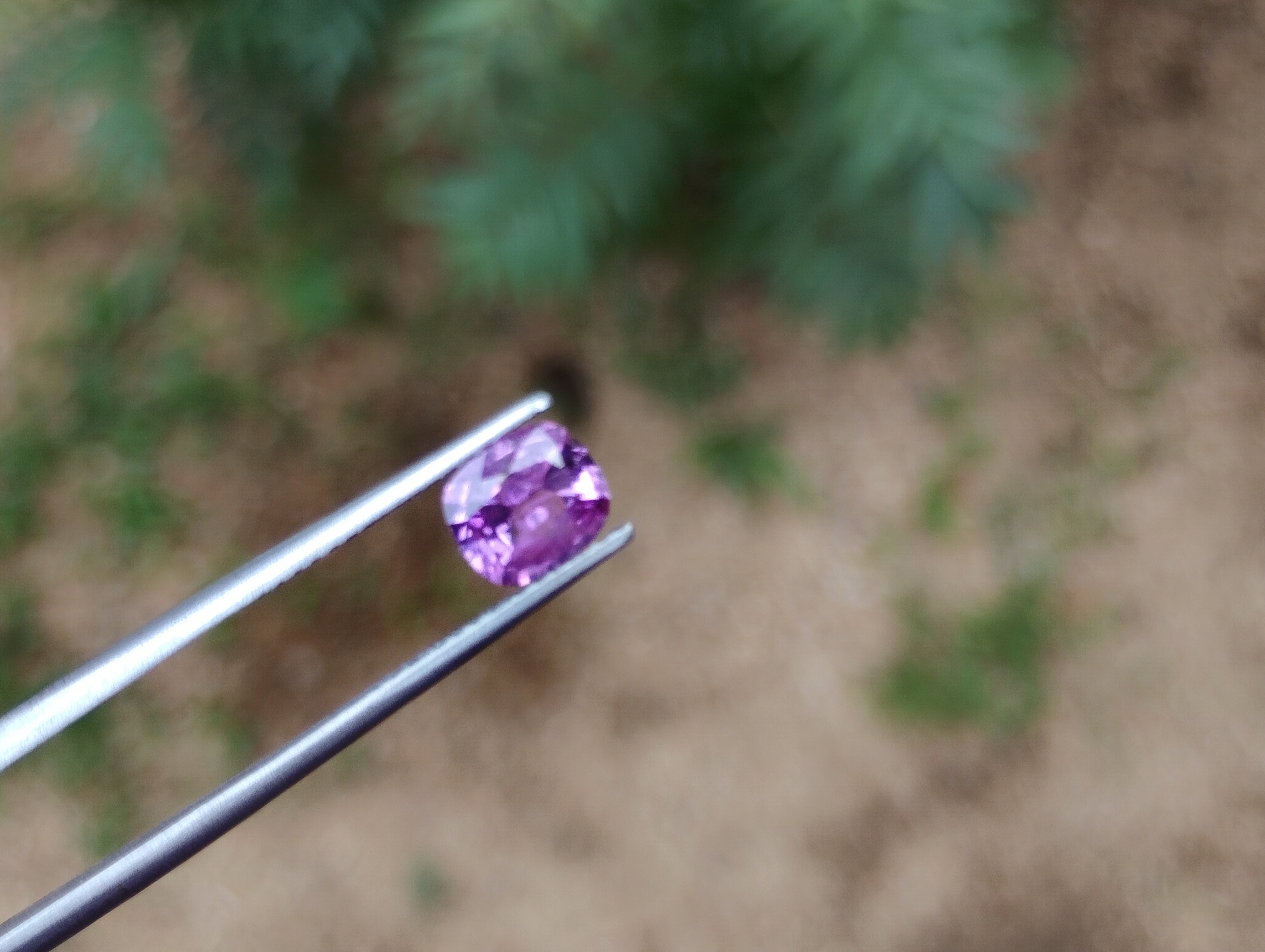 Natural Unheated Pink Sapphire - Image 2